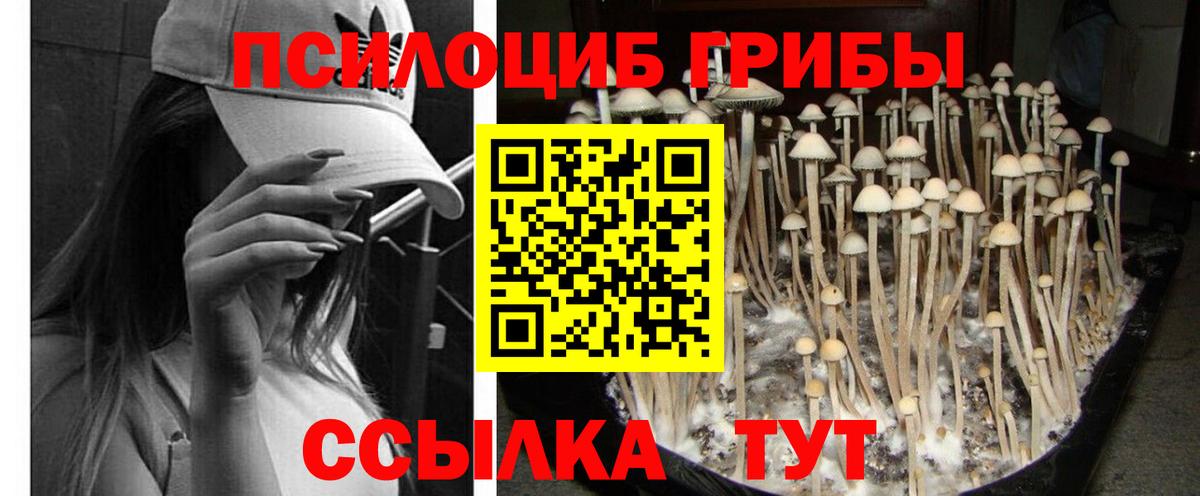 Галлюциногенные грибы прущие грибы Кулебаки