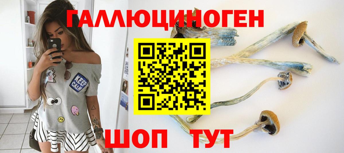 Галлюциногенные грибы Psilocybe  Вход с VPN  Псилоцибиновые грибы Magic Shrooms  Кулебаки 